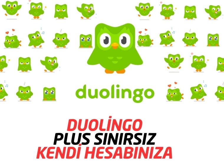 Super Duolingo Üyeliği – Sınırsız Öğrenme ile Hatalardan Korkmayın