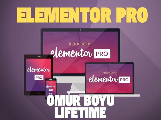 Elementor Pro Agency Planı – 1000 Site Lisansıyla WordPress’te Sınırsız Yaratıcılık